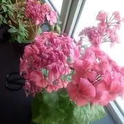 微信_1071540