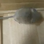 ~~~殇丶感~~~