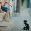 森林e6