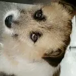 微信_1566040