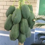 昵称违规，请重新修改