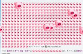 宝儿消失中主播照片