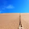音寻^_^月望