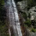 青山绿水青山