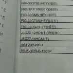 家的懒虫