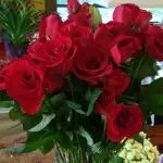☆☆星哥☆☆