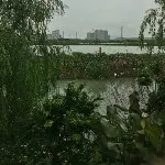 我梦见你了😘