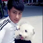 枫心依旧