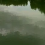 吻我双甜