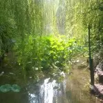 &amp;时光