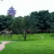 微信_4702519