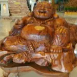 傻傻的我傻傻的