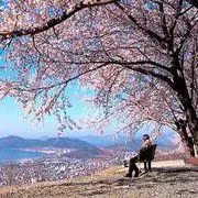 ✪喂喂喂cc✪