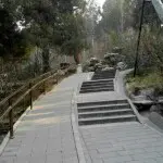 叶.凡