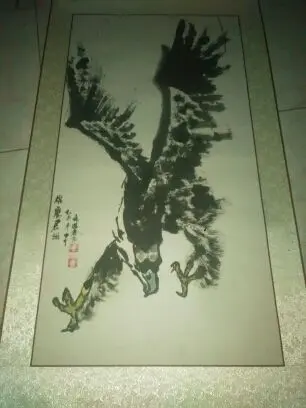 鑫诺维奇的主播照片