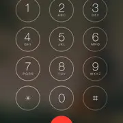 龙龙！。