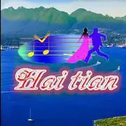 海天大象无形