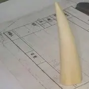 南柯一夢u