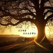玖宵云外