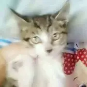 别闹别闹腰疼
