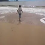 小凉风