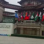 女主播眼中的好男人