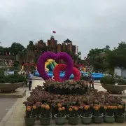 微信_3801798