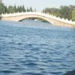 梦想、天使