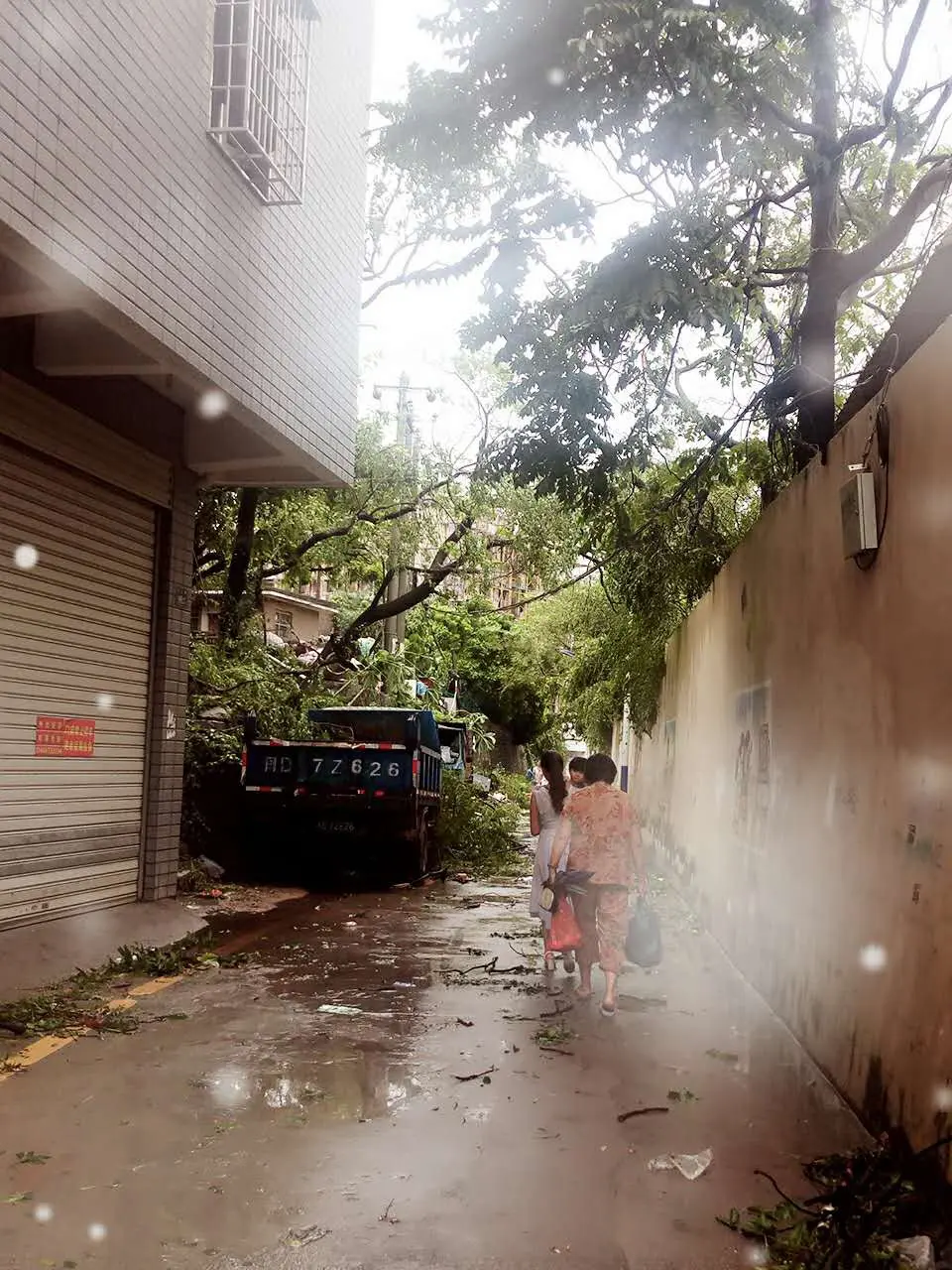 你把绝情给了动情地我的主播照片