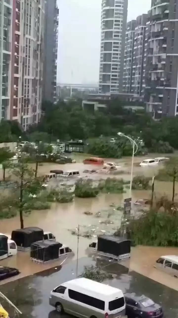 你把绝情给了动情地我的主播照片