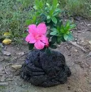 一刀当家的