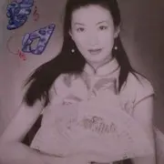 燕蝶飞飞。