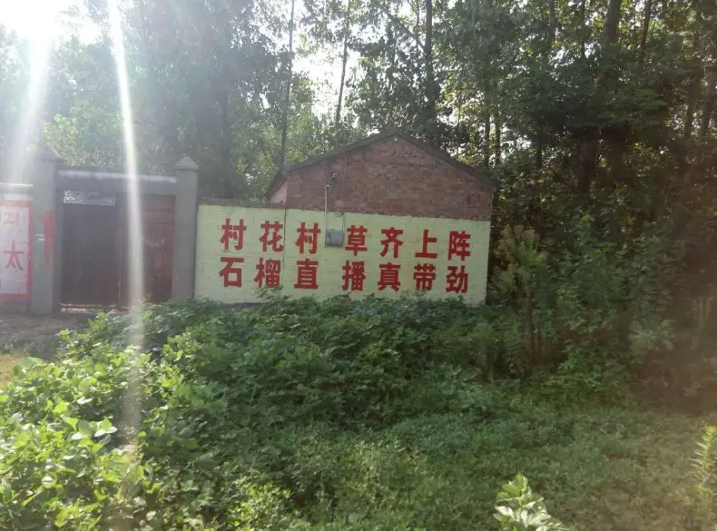 2025☃东北小哥的主播照片