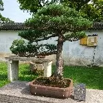 走上一天