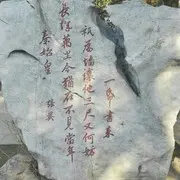 4864土嗨大帝