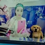 牡丹990