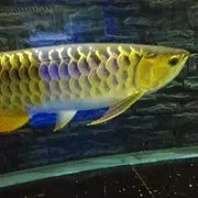 微信_7281687
