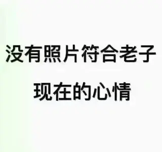 尘梵杉儿╰❤绝情玫瑰的主播照片
