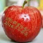 骑着毛驴进城。