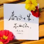 ~~春风十里
