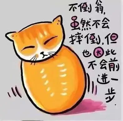 柒~宝児的主播照片