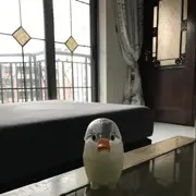 我不是我！别想冤枉我