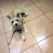 阿Q*e
