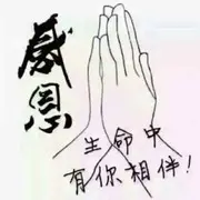 從心來過x