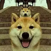 大象大象r