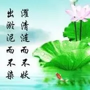 昵称违规请重新修改、