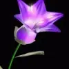 春暖花开hhl