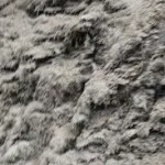无聊无聊好无聊啊