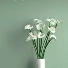 夜色赏乐
