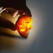 东潜n